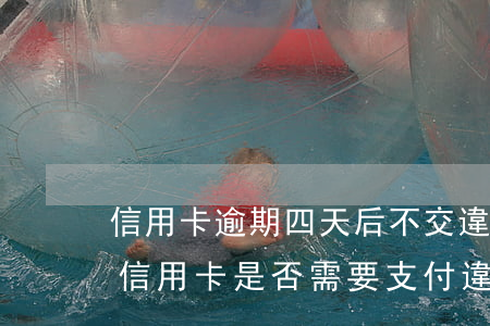 信用卡逾期四天后不交違約金，逾期四天未還信用卡，是否需要支付違約金？